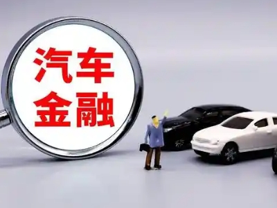 长白押车贷款不是本人可以么?